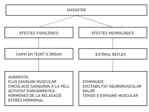 FISIOTERAPIA CLAVERA - Centre terapèutic i rehabilitació esportiva a Granollers